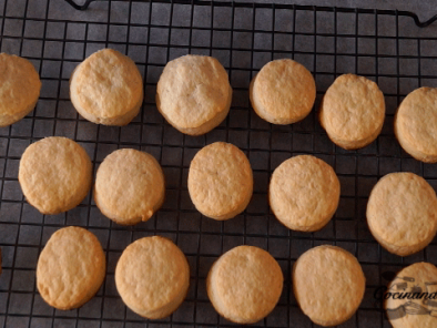 Nevaditos caseros - Preparación paso 6