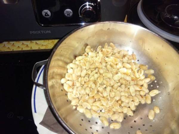 Bebida de Cacahuete con Robot de Cocina - Preparación paso 1
