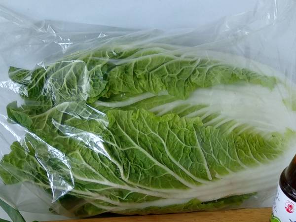 Kimchi {plato nacional coreano} - Preparación paso 2