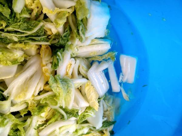 Kimchi {plato nacional coreano} - Preparación paso 11