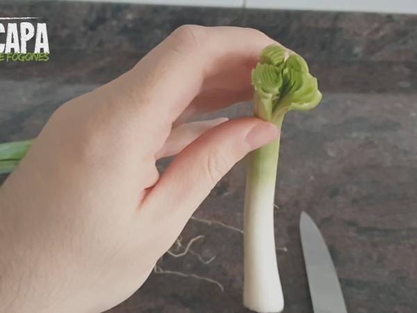 Vichyssoise (crema de puerros) - Preparación paso 3