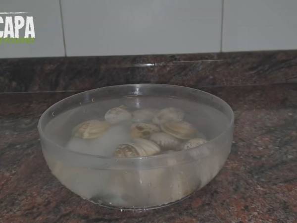 Merluza en salsa verde - Preparación paso 1