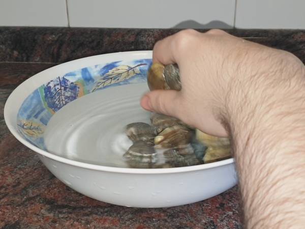 Sopa de pescado - Preparación paso 13