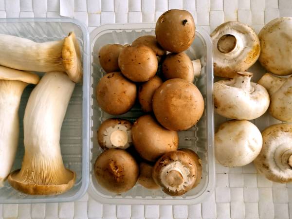 Pasta con ajo y setas {con mucho sabor umami} - Preparación paso 4