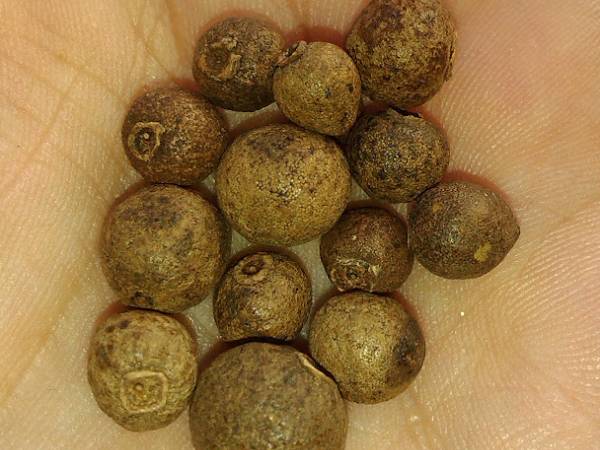 Albóndigas suecas (segunda versión) - Preparación paso 1