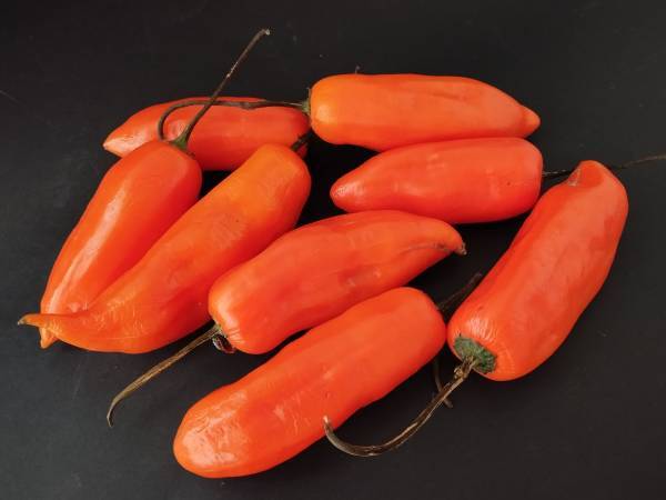 Ají amarillo {un básico de la cocina peruana} - Preparación paso 1