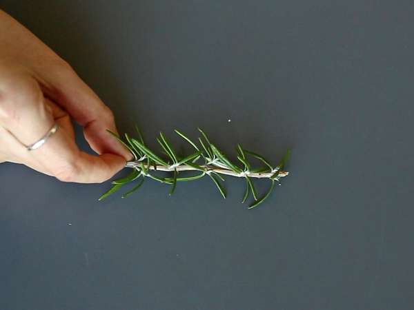 Cóctel navideño con arbolito nevado: versión con alcohol y sin alcohol - Preparación paso 1