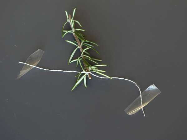 Cóctel navideño con arbolito nevado: versión con alcohol y sin alcohol - Preparación paso 3