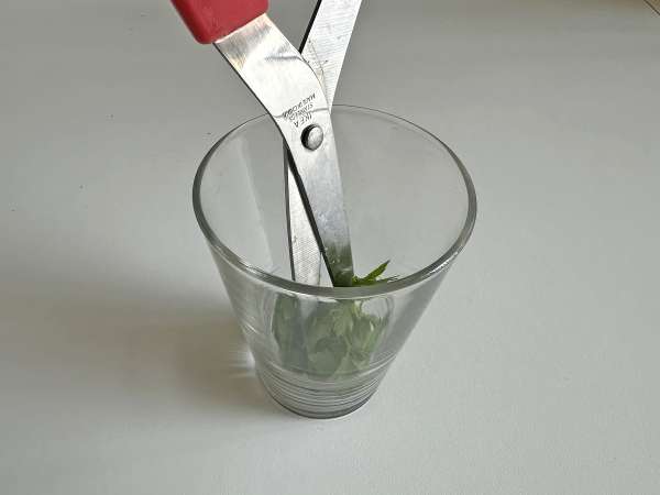 Picatostes de hierbas en freidora de aire: fáciles y listos en minutos - Preparación paso 3