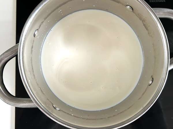 Queso cottage casero con solo dos ingredientes - Preparación paso 1