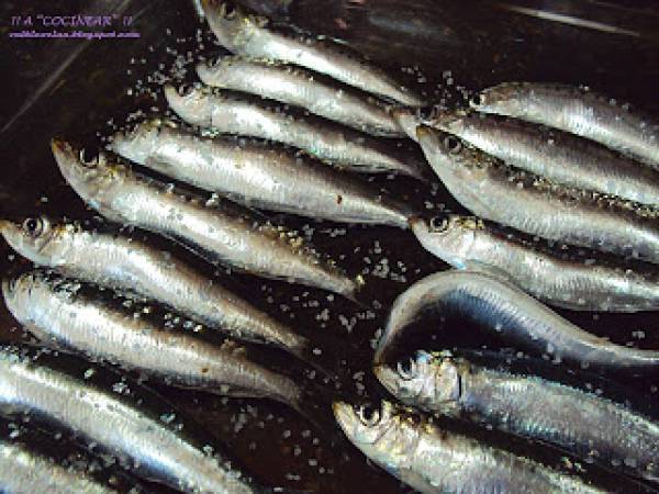 Sardinas al horno - Preparación paso 1