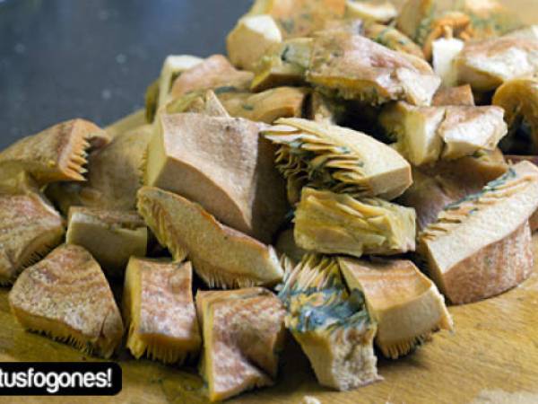 Níscalos en salsa - Preparación paso 1