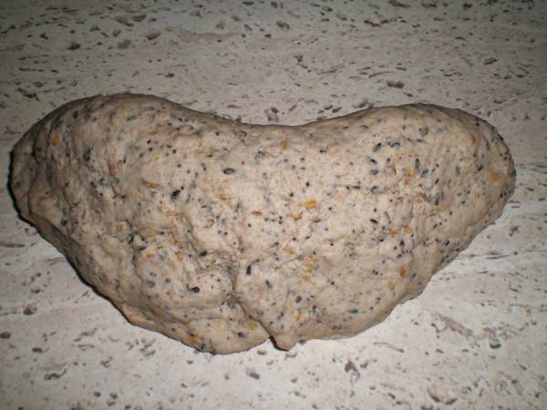 Pan de cereales y semillas, en panificadora - Preparación paso 7