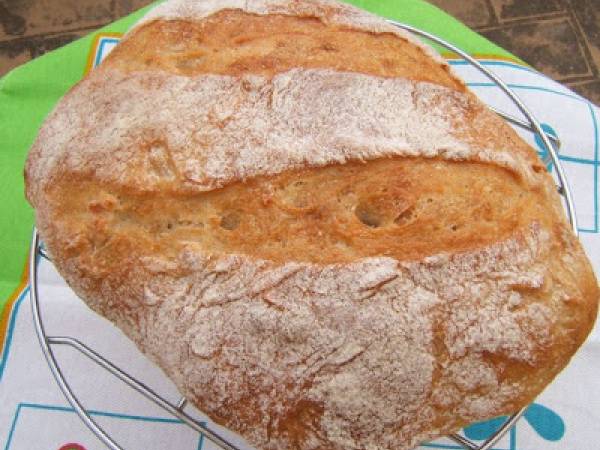 Pan 100% con masa madre líquida (bis) - Preparación paso 6