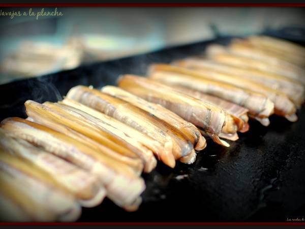 Navajas a la plancha - Preparación paso 1