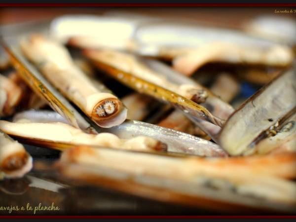 Navajas a la plancha - Preparación paso 4