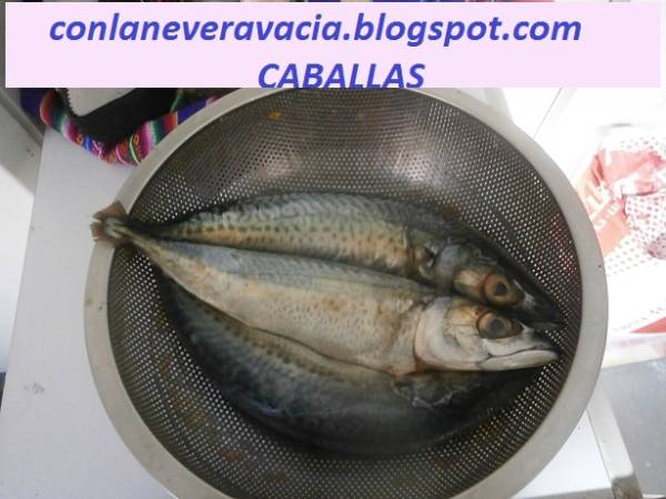 Caballas a la sal - Preparación paso 1