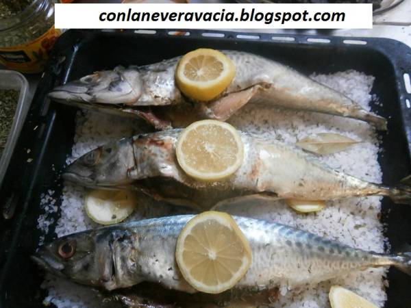 Caballas a la sal - Preparación paso 2