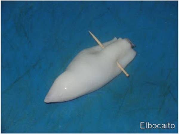 Chipirones rellenos de jamón serrano, en su tinta. - Preparación paso 3