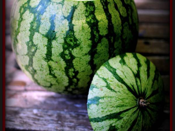 Zumo de sandía en su propio envase - Preparación paso 2