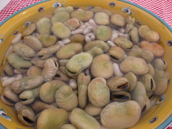 POTAJE DE HABAS (de aceite) - Preparación paso 1