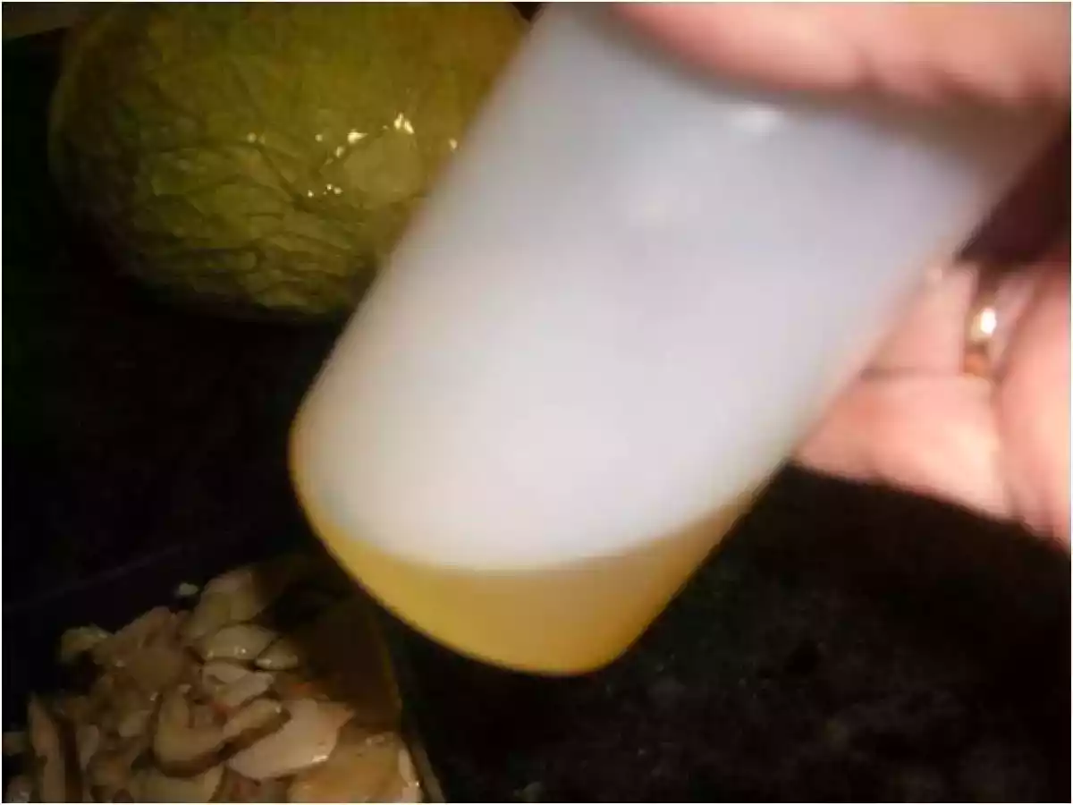 ACEITE DE BOLETUS EDULIS - foto 7