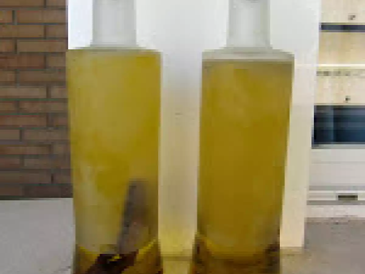 Aceite picante y aceite boletus