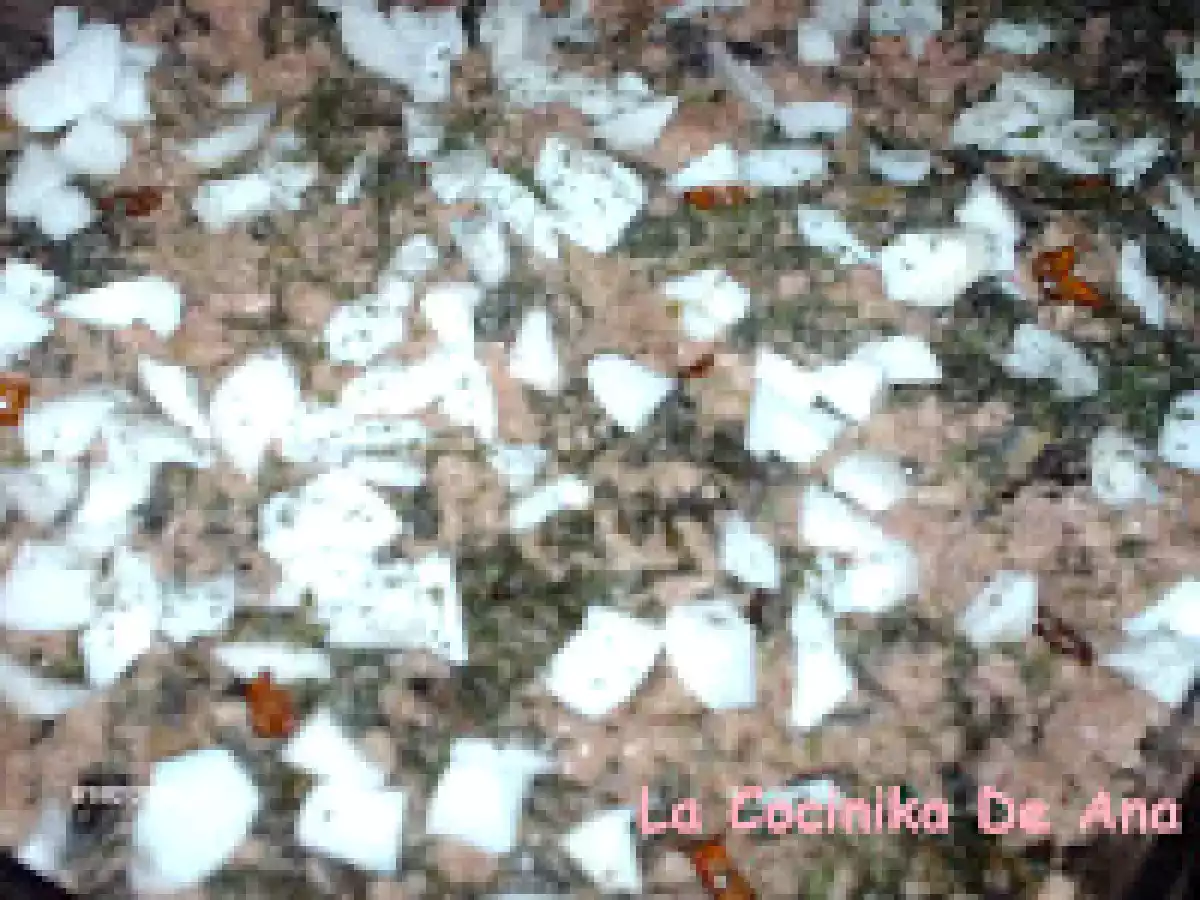 Acelgas con carne y salsa especial - foto 2