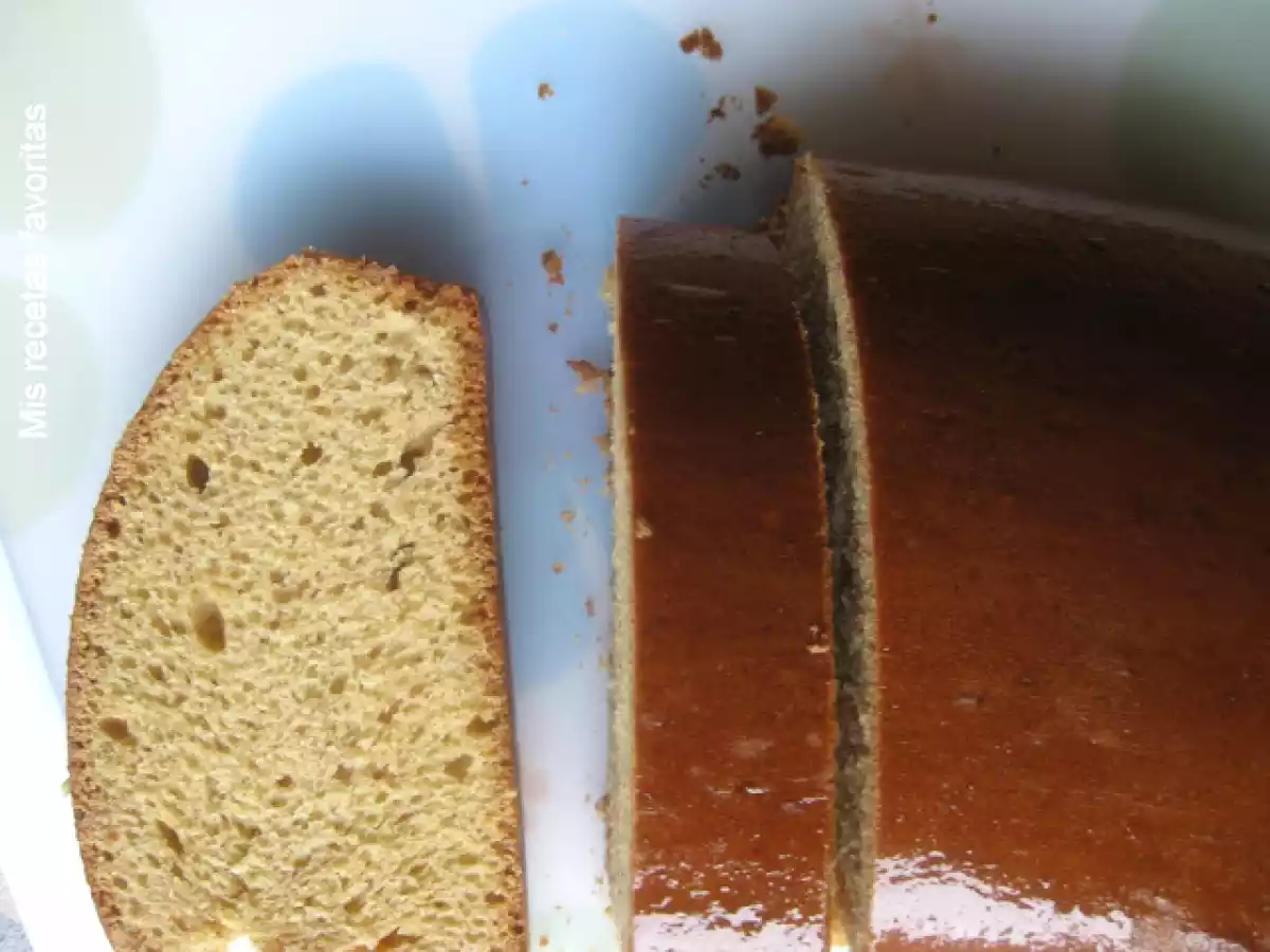 Acemita tocuyana - foto 2