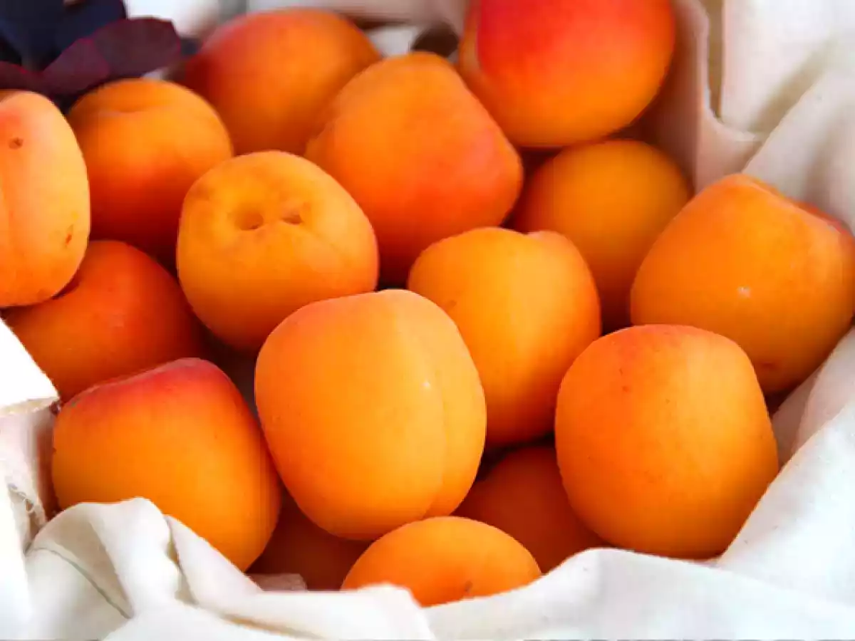 Albaricoques rellenos de atún y romero - foto 6