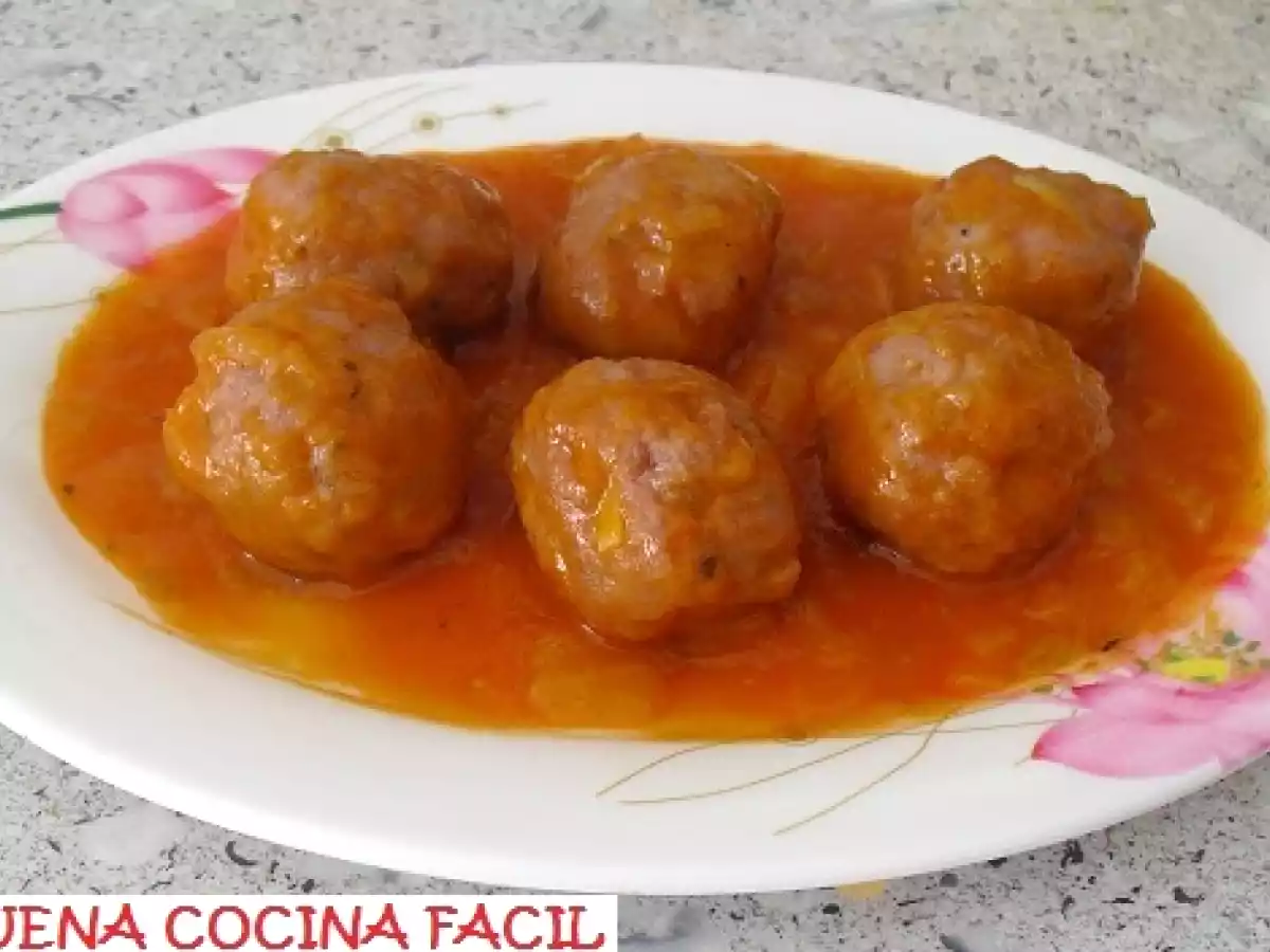 ALBONDIGAS CON SALSA DE TOMATE Y PUERRO