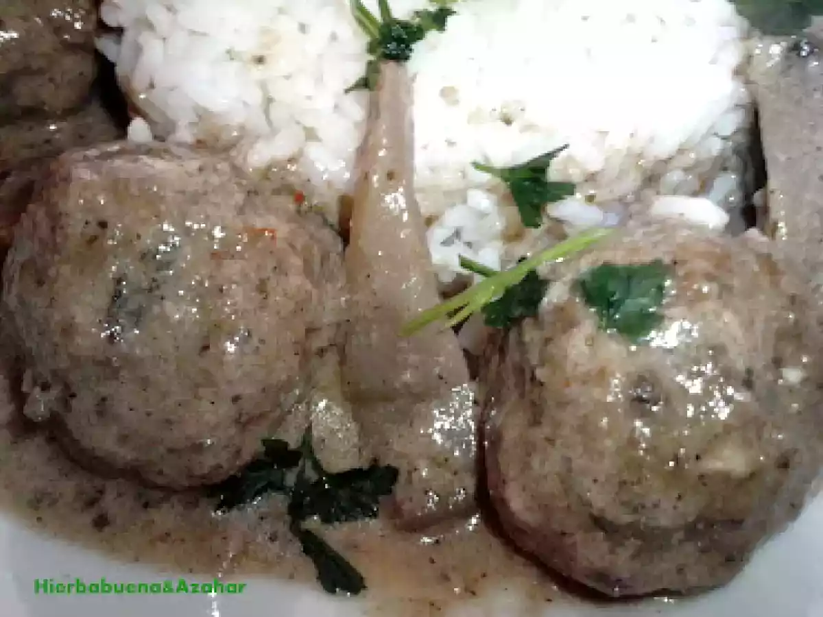ALBONDIGAS DE TERNERA AL HORNO, EN SALSA GARAN MASALA - foto 2