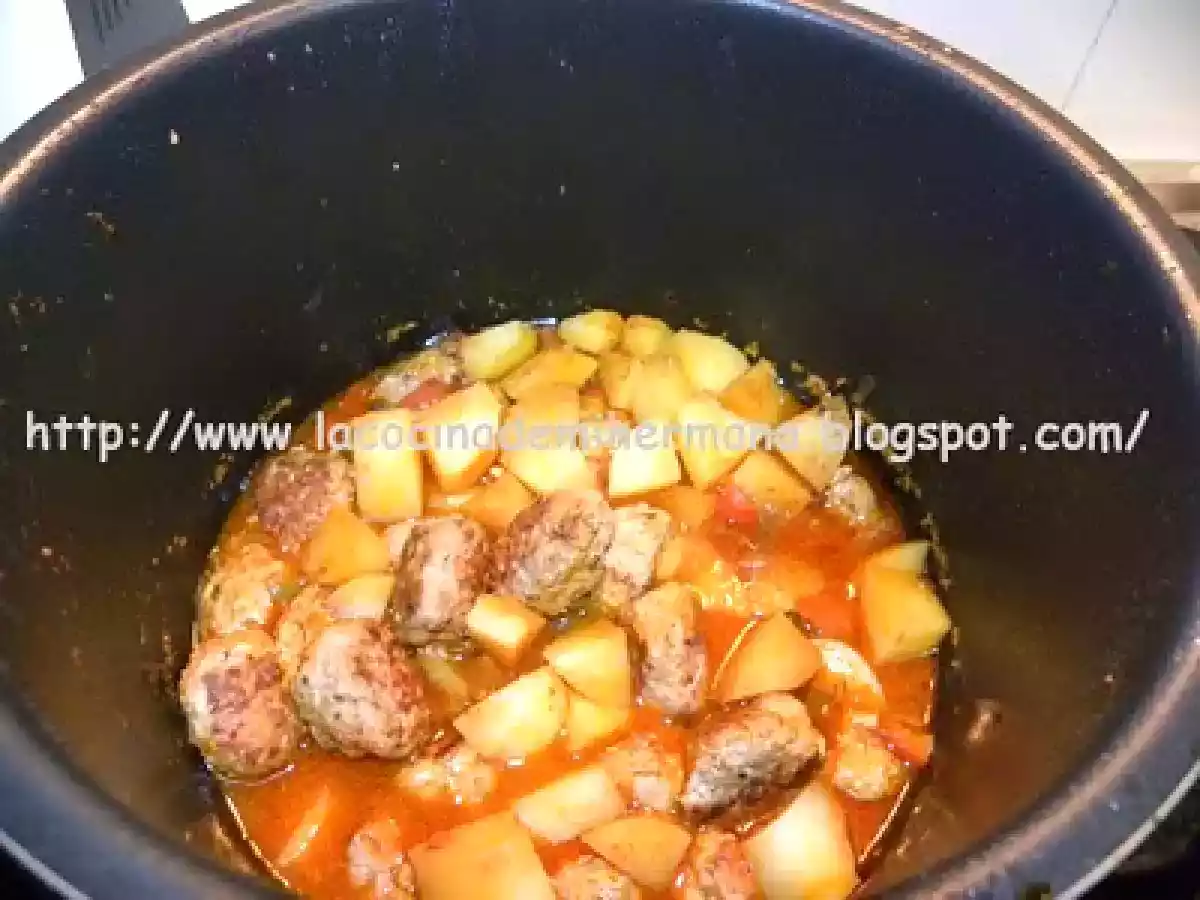 ALBÓNDIGAS FUSSIONCOOK