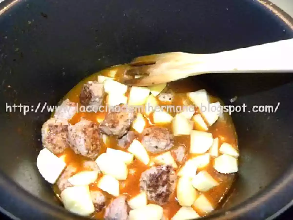 ALBÓNDIGAS FUSSIONCOOK - foto 2