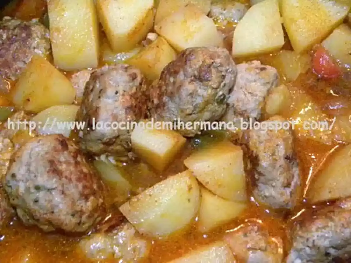 ALBÓNDIGAS FUSSIONCOOK - foto 6