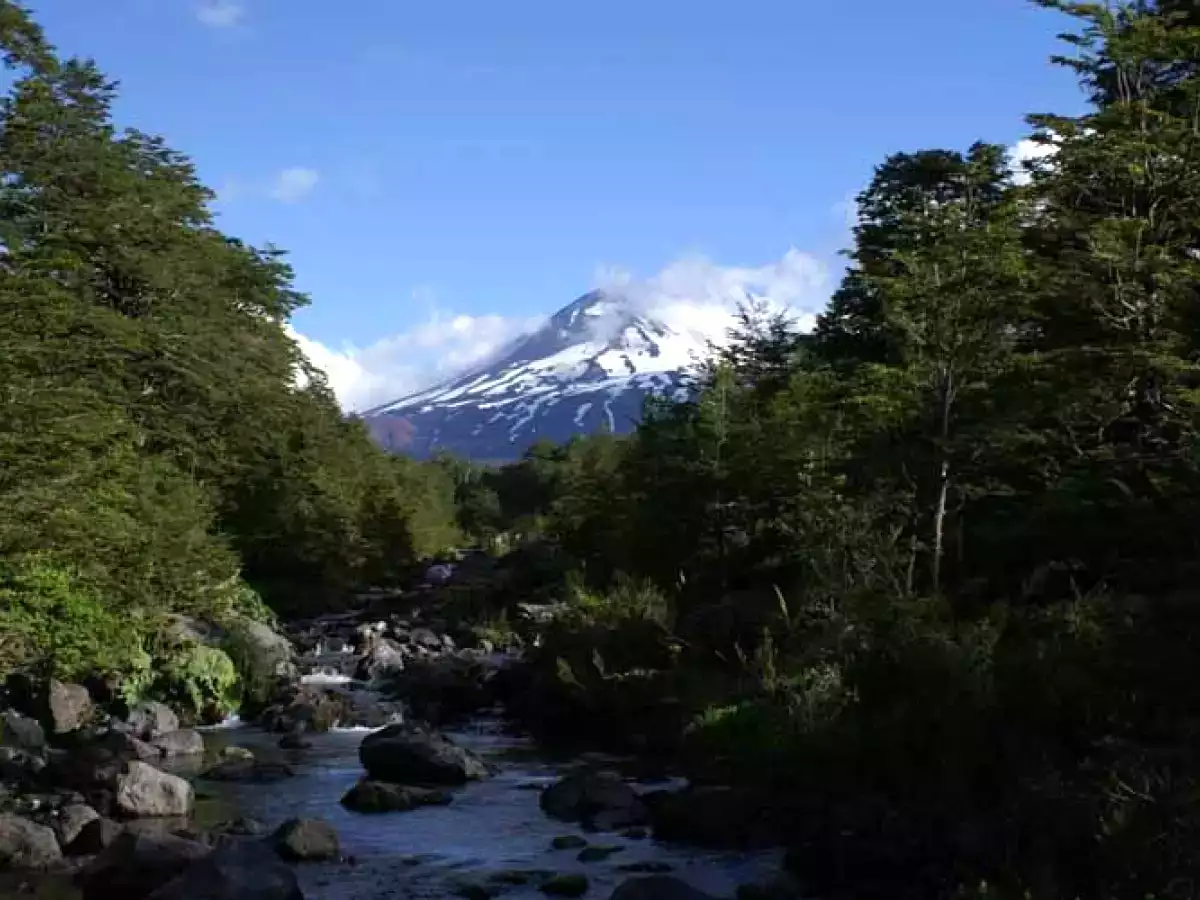 Alfajores, Chilenitos y Barquitas - foto 9