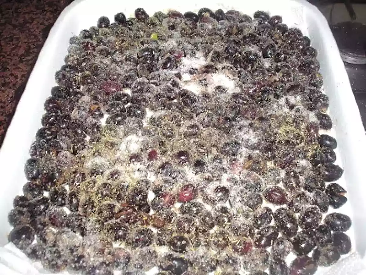 ALIÑANDO ACEITUNAS. - foto 3