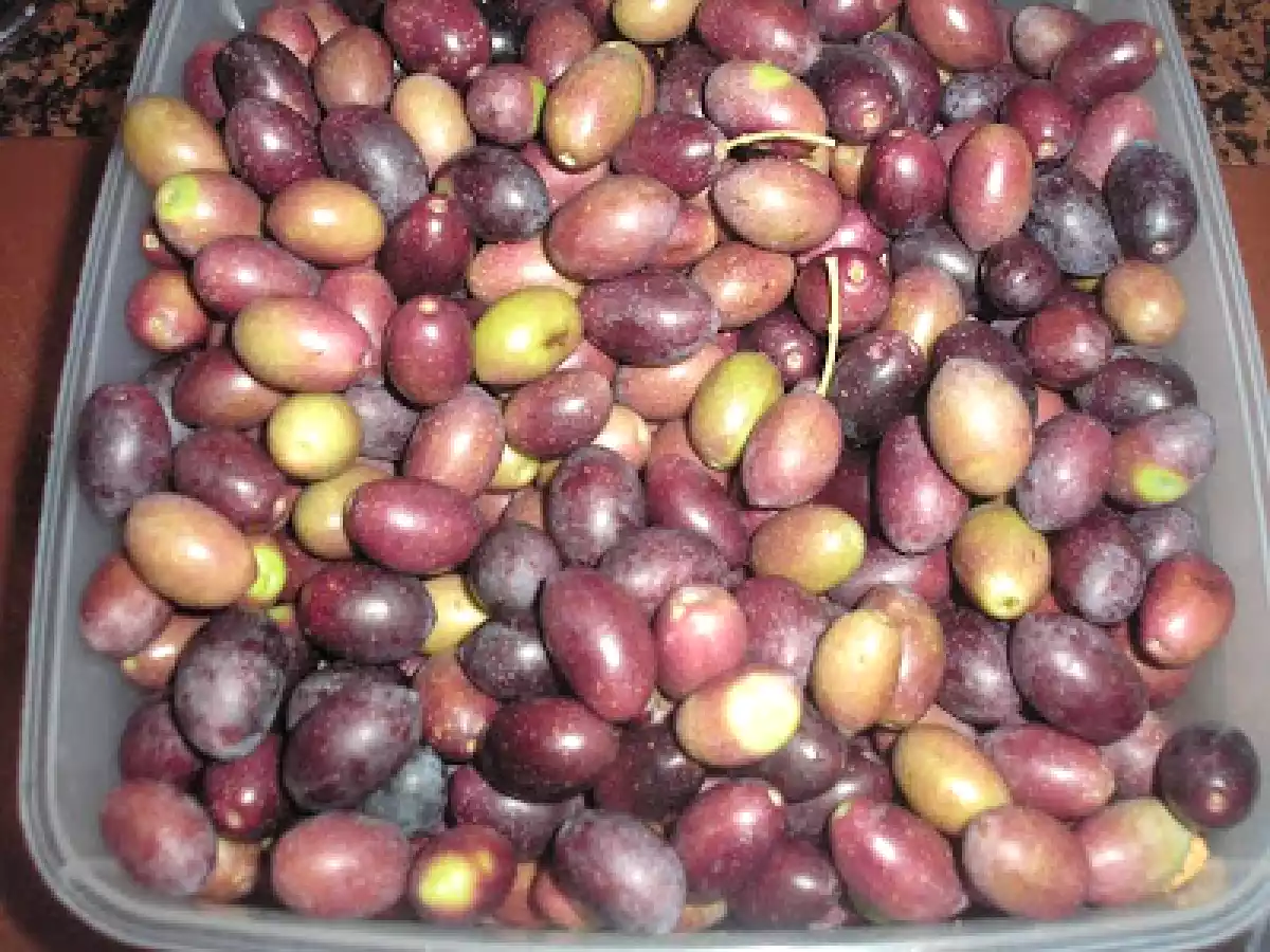 ALIÑANDO ACEITUNAS. - foto 10