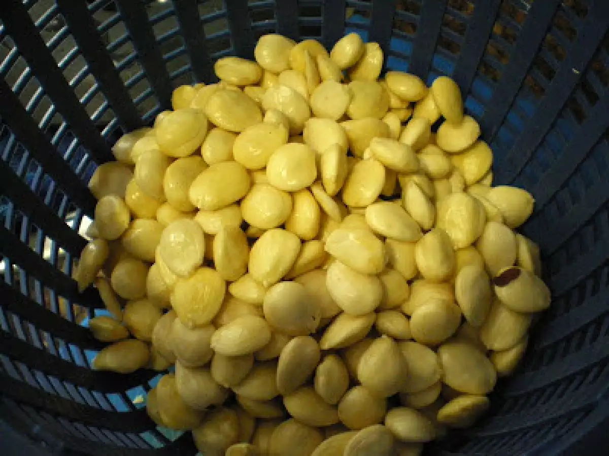 ALMENDRAS TOSTADAS. - foto 3