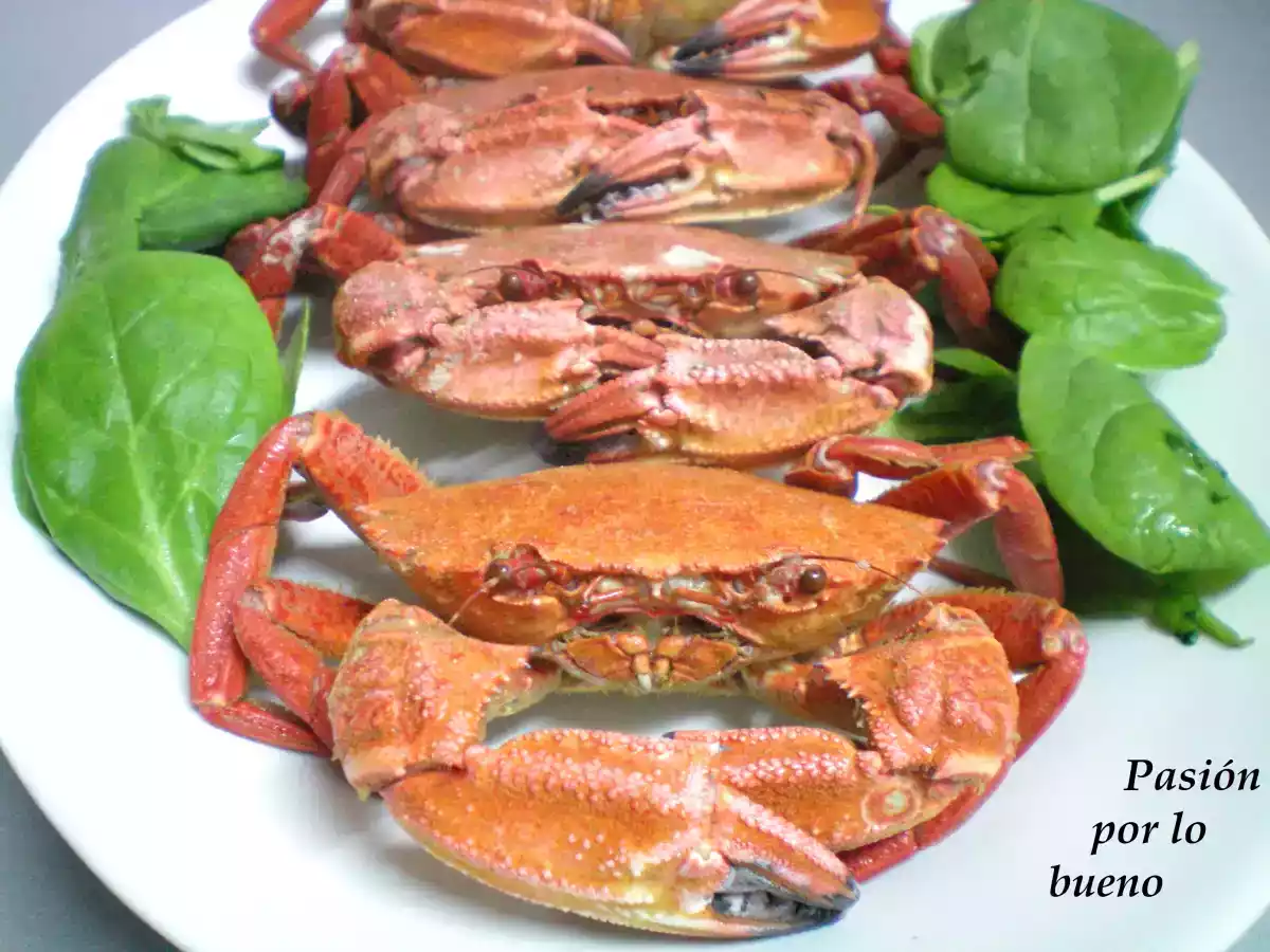 Andaricas (nécoras) cocidas