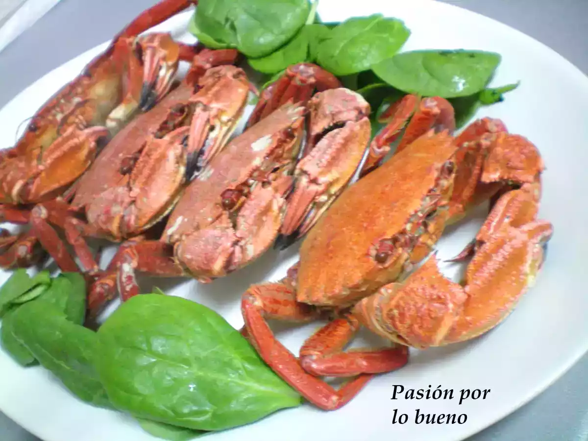 Andaricas (nécoras) cocidas - foto 2