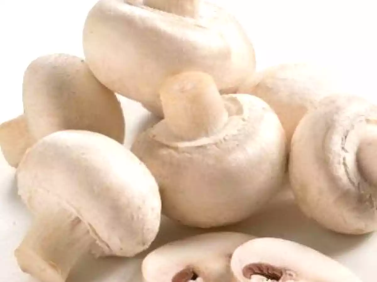 Antipasto de Champiñones