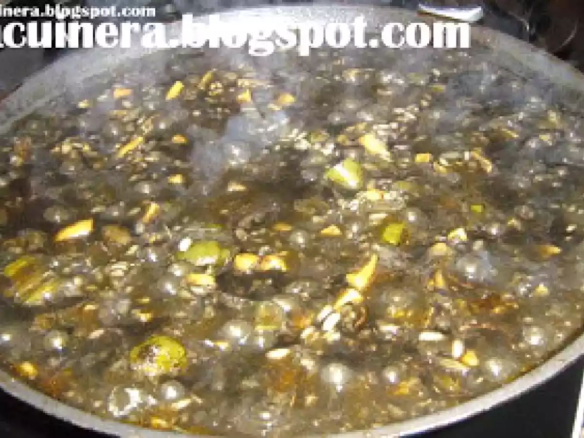 ARROZ CON CALAMARES EN SU TINTA - foto 5