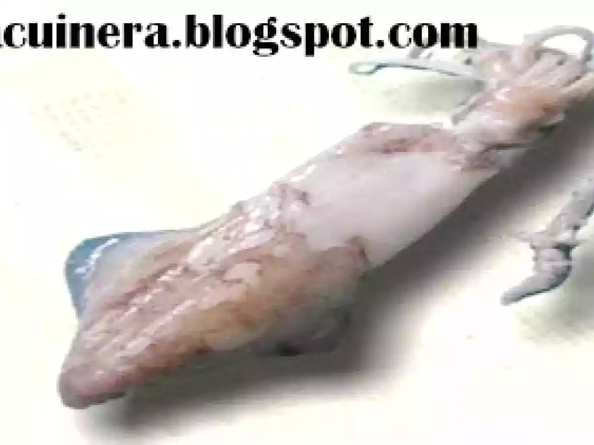 ARROZ CON CALAMARES EN SU TINTA - foto 7