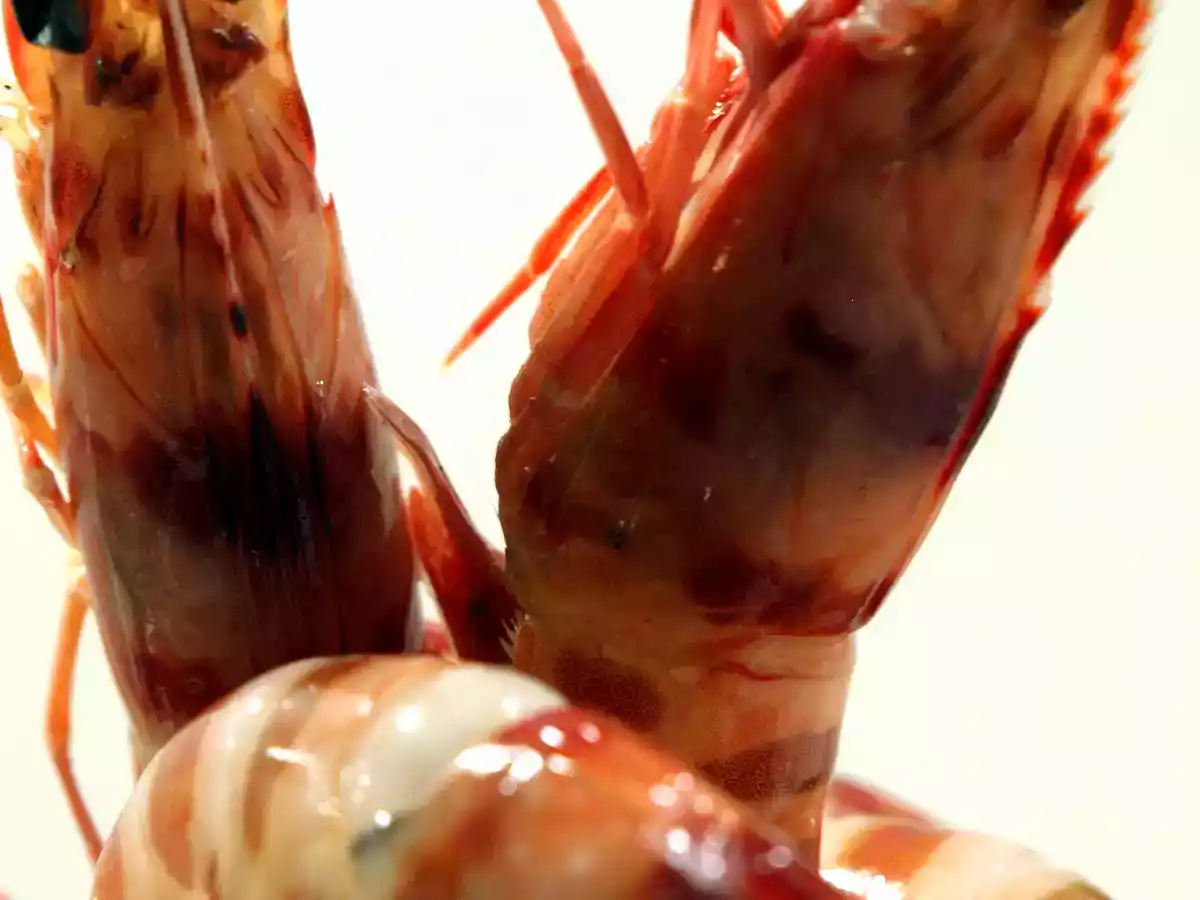 arroz con langostinos de San Carlos de la Rápita - foto 3