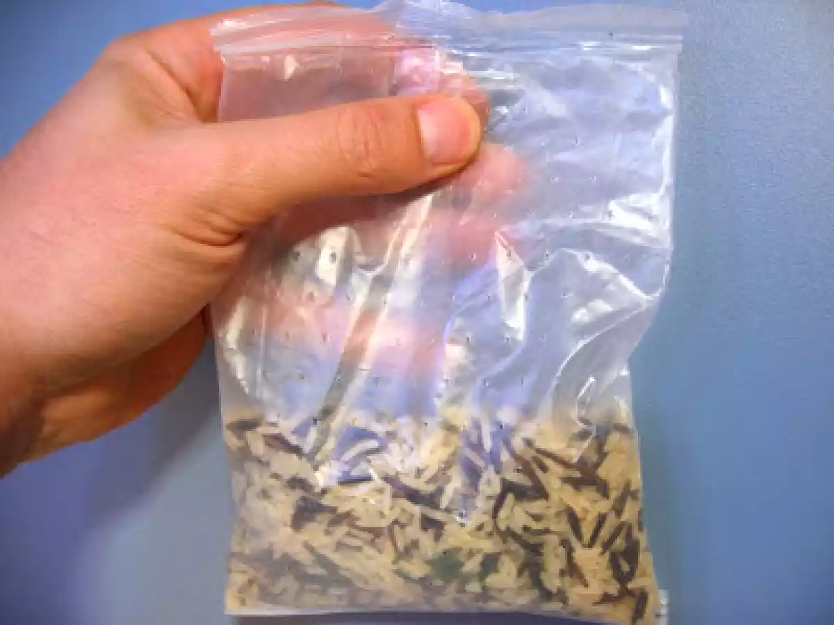 Arroz salvaje con pulpo doméstico - foto 2