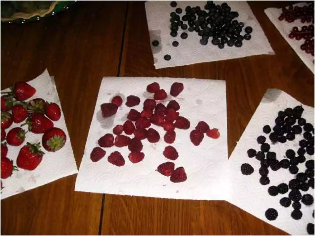 ÁSPIC DE FRUTAS - foto 2