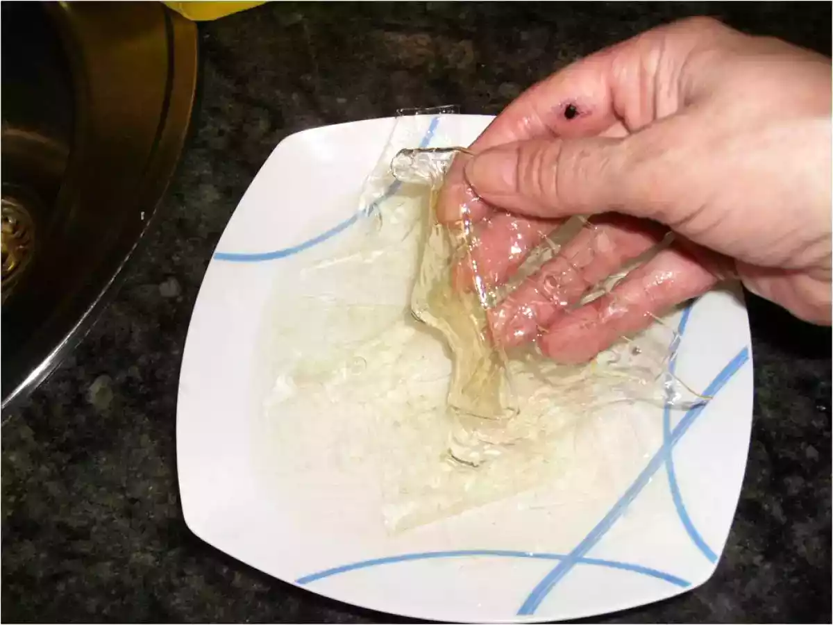 ÁSPIC DE FRUTAS - foto 3