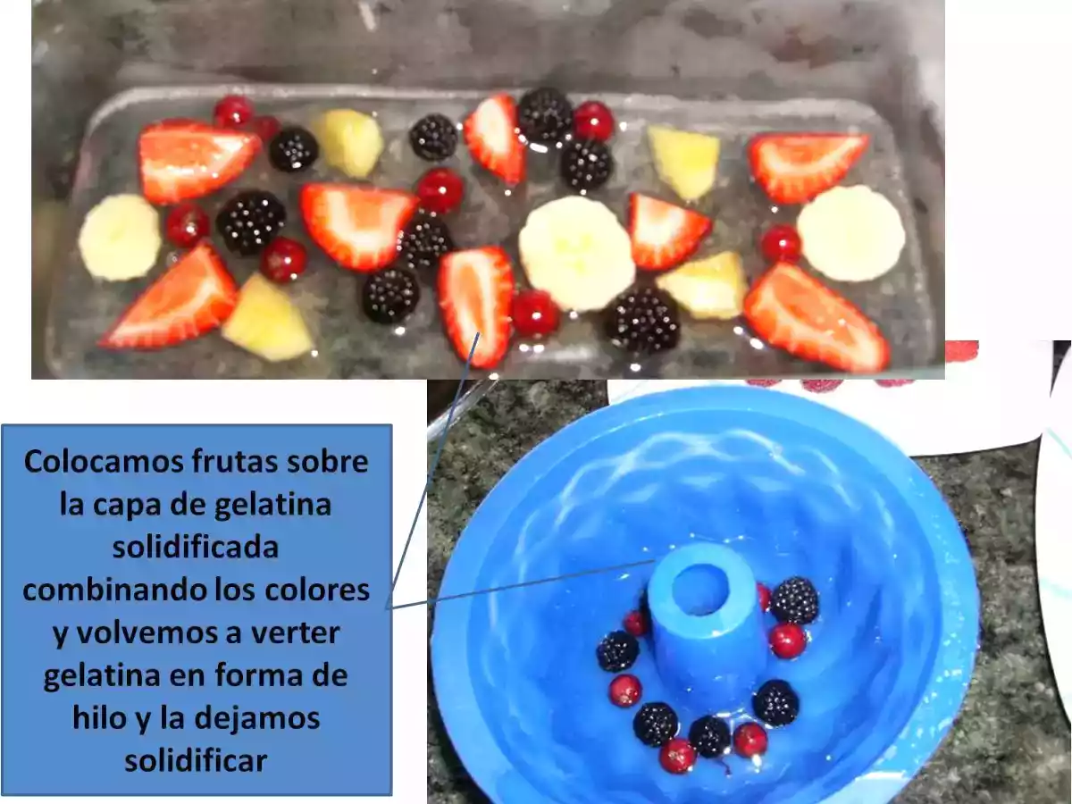 ÁSPIC DE FRUTAS - foto 6