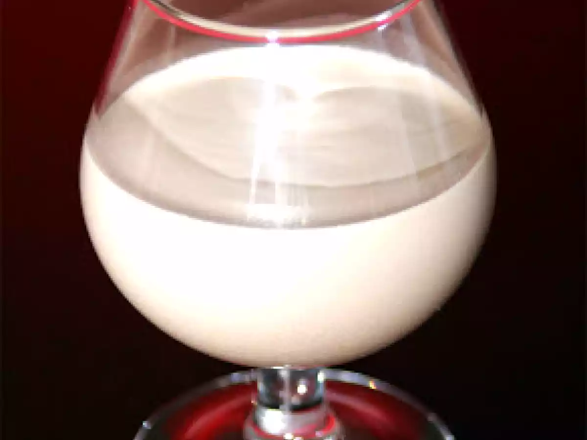 Baileys irish cream casero